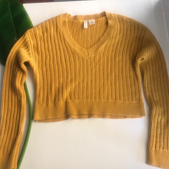 Sky and Sparrow Knit Crop Sweater - Picture 2 of 5